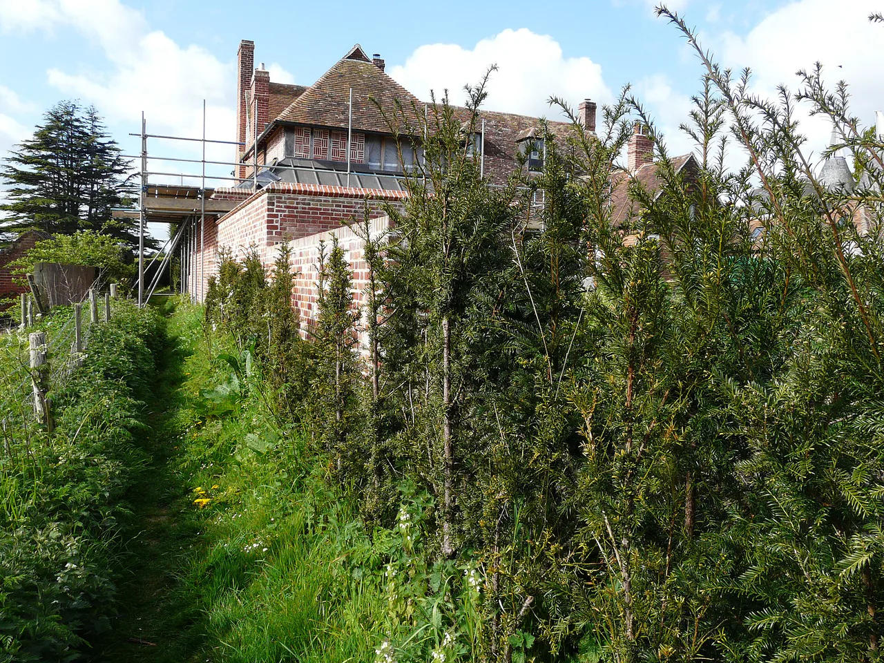 Maison en travaux derrière la végétation Maison partiellement masquée par des arbres et arbustes avec échafaudage sur le côté.